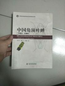 中国角顶叶蝉:半翅目：叶蝉科:hemiptera: cicadellidae 参看图片