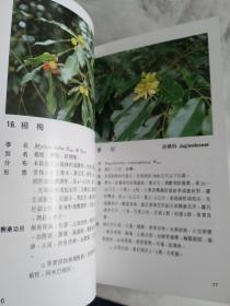 常见药用植物解说手册