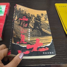 血红的焦土:徐州会战纪实