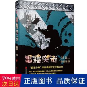 雷霆突击 历史、军事小说 刘猛