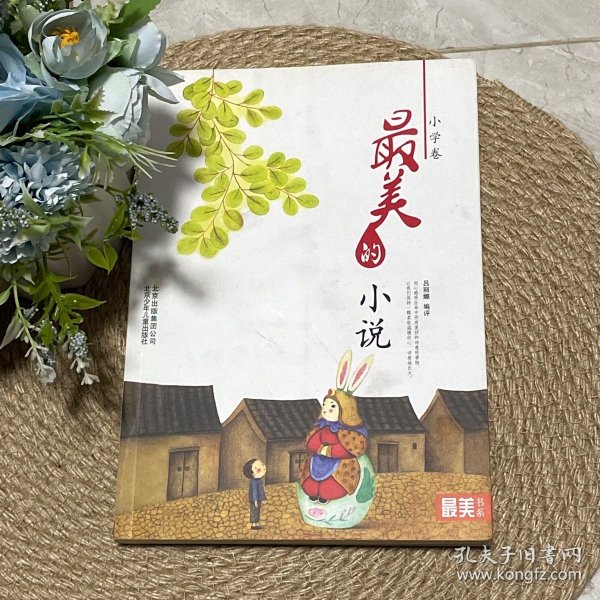最美书系 小学卷 最美的小说