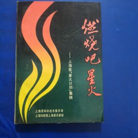 燃烧吧星火—上海县星火计划集锦