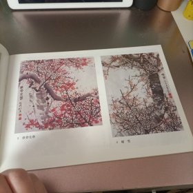 赵升仁花鸟画选