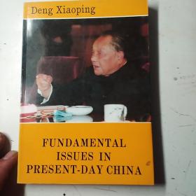 论当代中国基本问题
