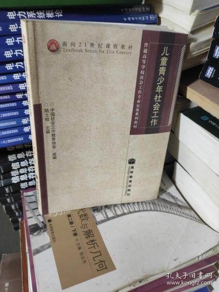 普通高等学校社会工作专业实务系列教材：儿童青少年社会工作