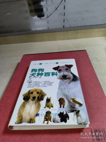 狗狗犬种百科