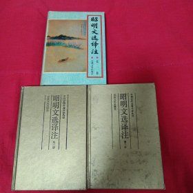 中国古代名著今译丛书 昭明文选译注（1-3册）