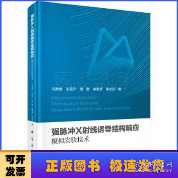 强脉冲X射线诱导结构响应模拟实验技术