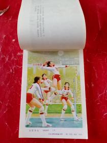 1984 年画缩样