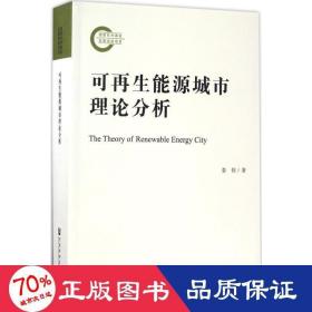 可能源城市理論分析 經(jīng)濟理論、法規(guī) 婁偉