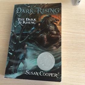 The Dark Is Rising  黑暗崛起:黑暗的崛起系列