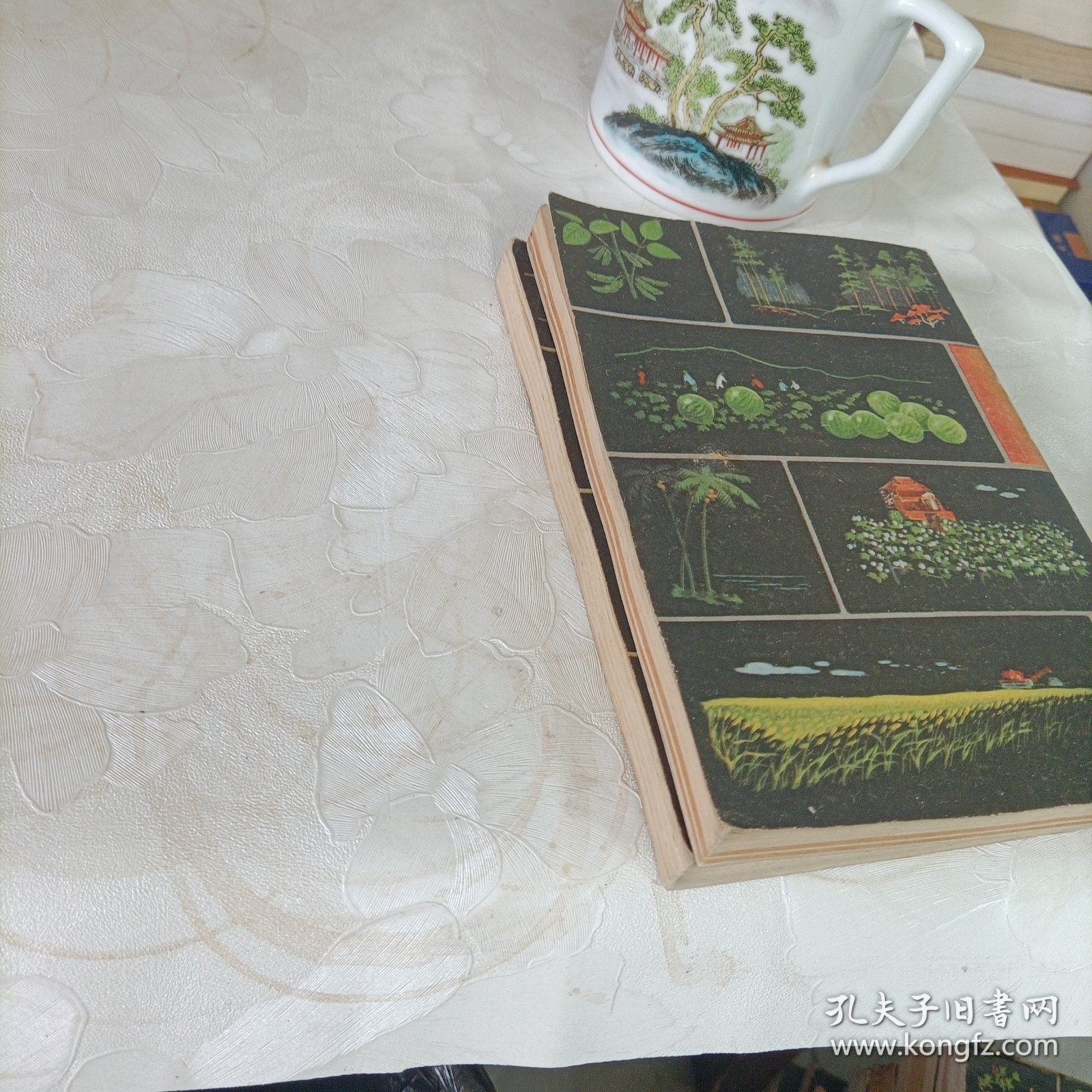 十万个为什么——植物【1～2】