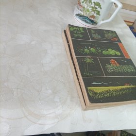 十万个为什么——植物【1～2】