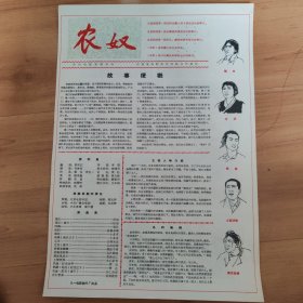 农奴，电影介绍，农村电影宣传材料