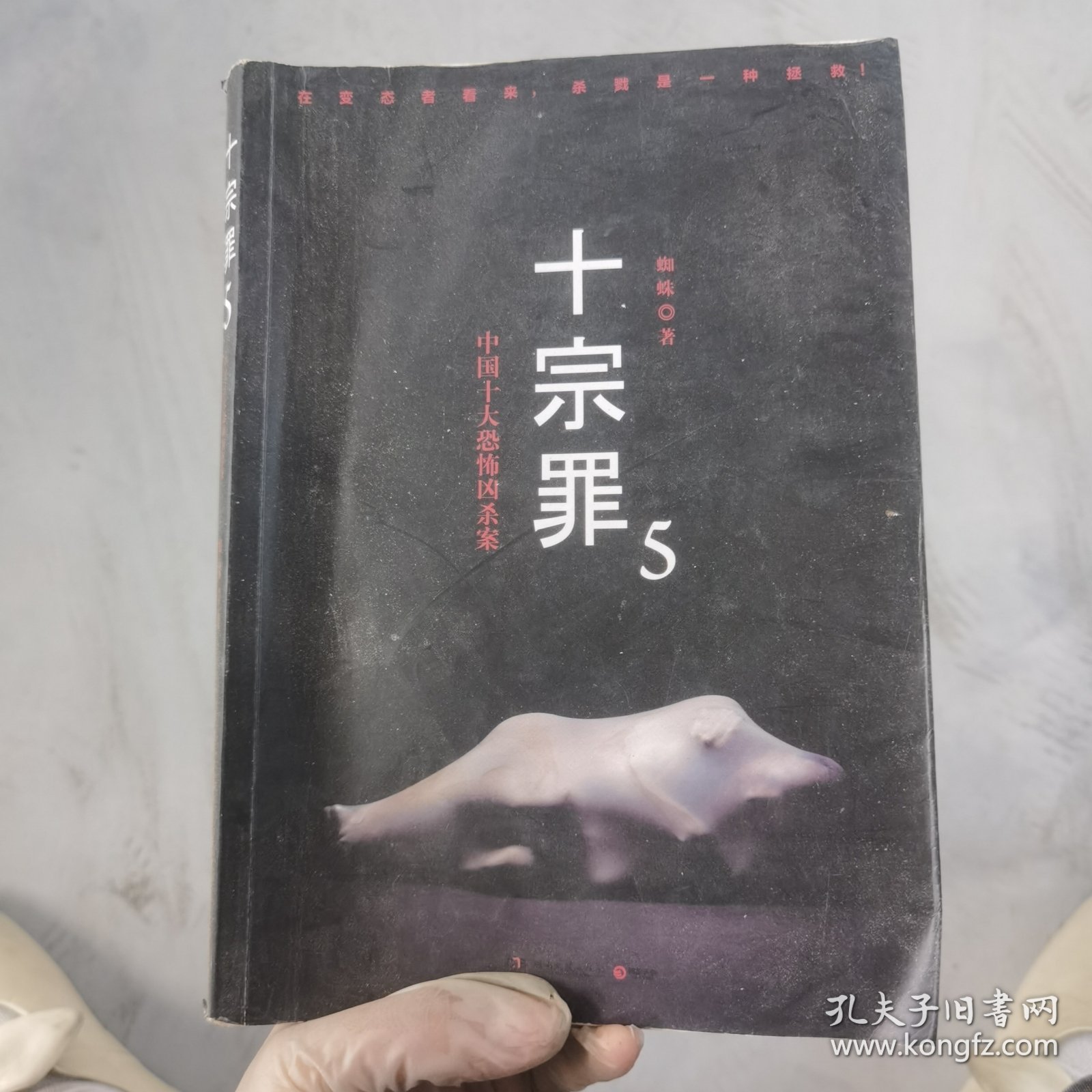 十宗罪5：中国十大凶杀案