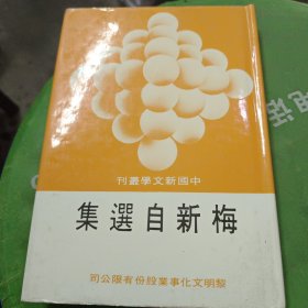 中国新文学丛刊 梅新自选集