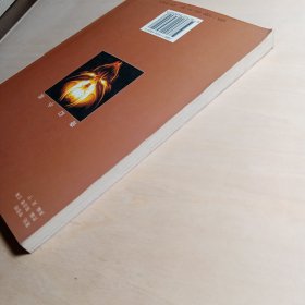 枪血玫瑰：幻影归来者