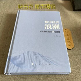 数字经济浪潮——未来的新趋势与可能性（缺书衣 尾页瑕疵 不影响阅读）2020