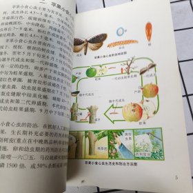 苹果病虫害防治画册