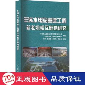 丰满水电站重建工程新老坝相互影响研究