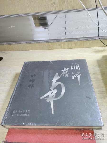 中国当代名家画集.润泽岭南