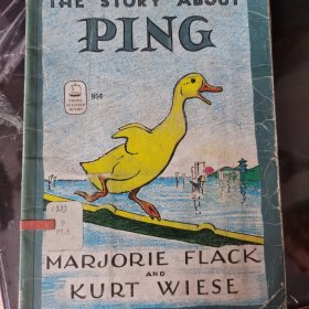THE_STORY_ABOUT…PING