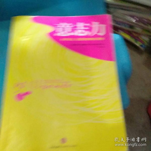 意志力：关于专注、自控与效率的心理学