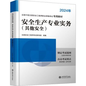 安全生产专业实务 其他安全 2024