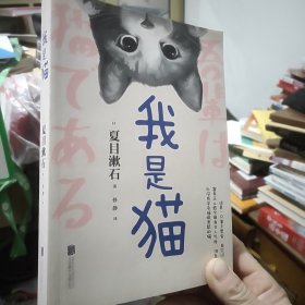 我是猫