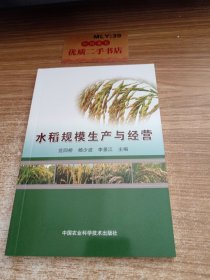 水稻规模生产与经营