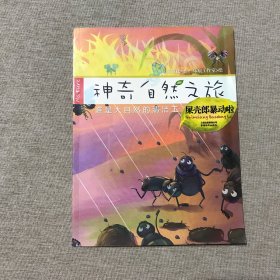 神奇自然之旅-屎殼郎暴動啦