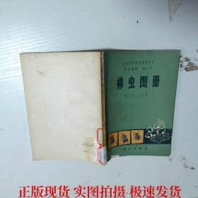 棉虫图册