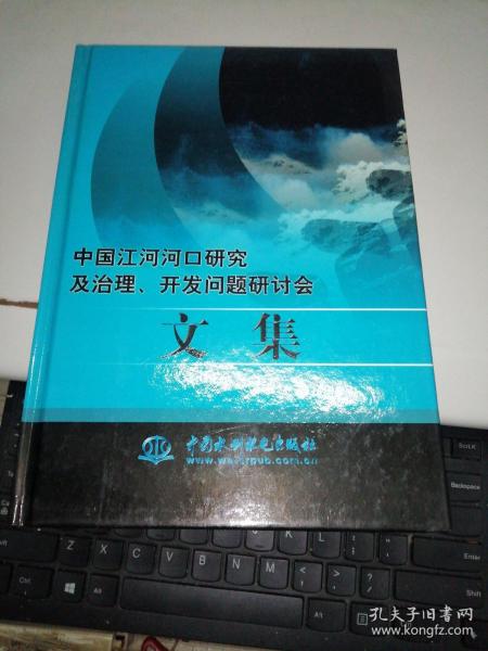 中国江河河口研究及治理、开发问题研讨会文集（精装）