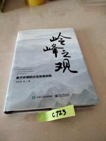 岭峰之观 基于环境的企业发展战略