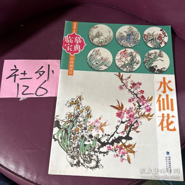 临摹宝典：水仙花