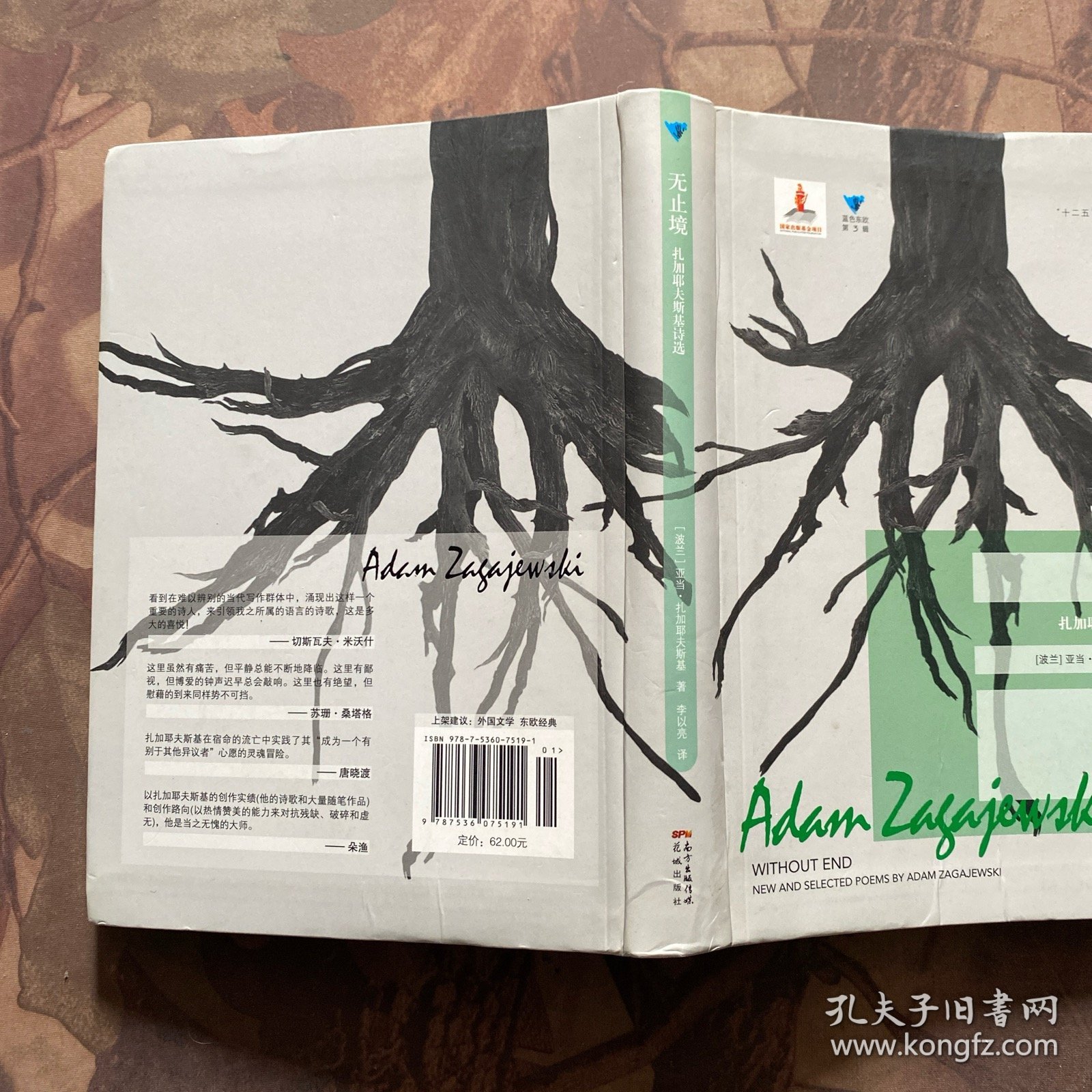 无止境：扎加耶夫斯基诗选