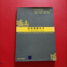 政策建模技术：CGE模型的理论与实现