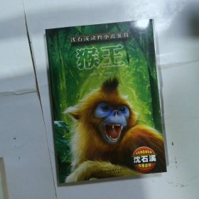 沈石溪动物小说鉴赏 猴王