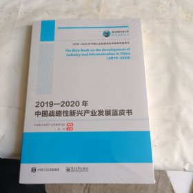 国之重器出版工程 2019—2020年中国战略性新兴产业发展蓝皮书