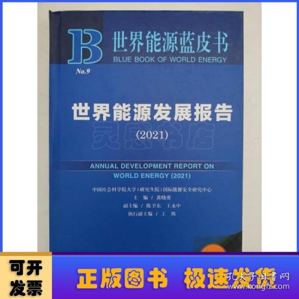 世界能源蓝皮书：世界能源发展报告（2021）