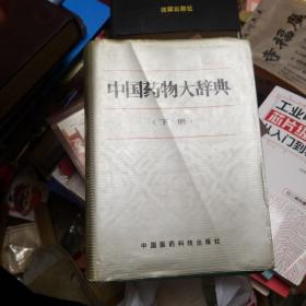 中国药物大辞典下册