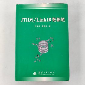 JTIDS/Link16数据链 （精装）