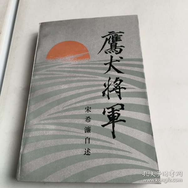 鹰犬将军:宋希濂自述