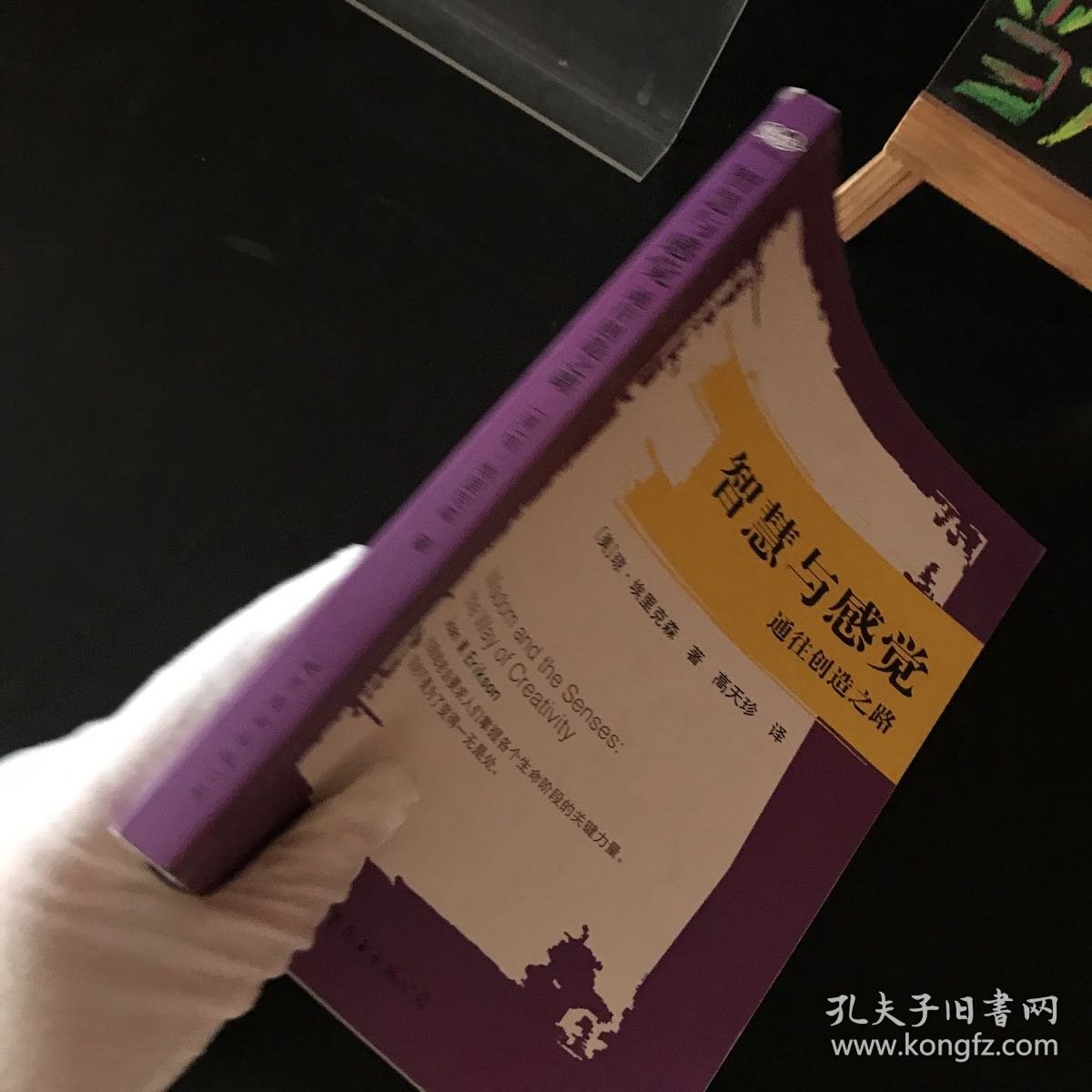 智慧与感觉：通往创造之路