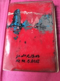 江山无限好，处处尽朝晖，广林广武手写日记本