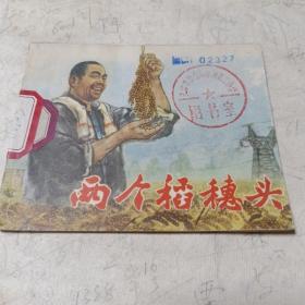 两个稻穗头