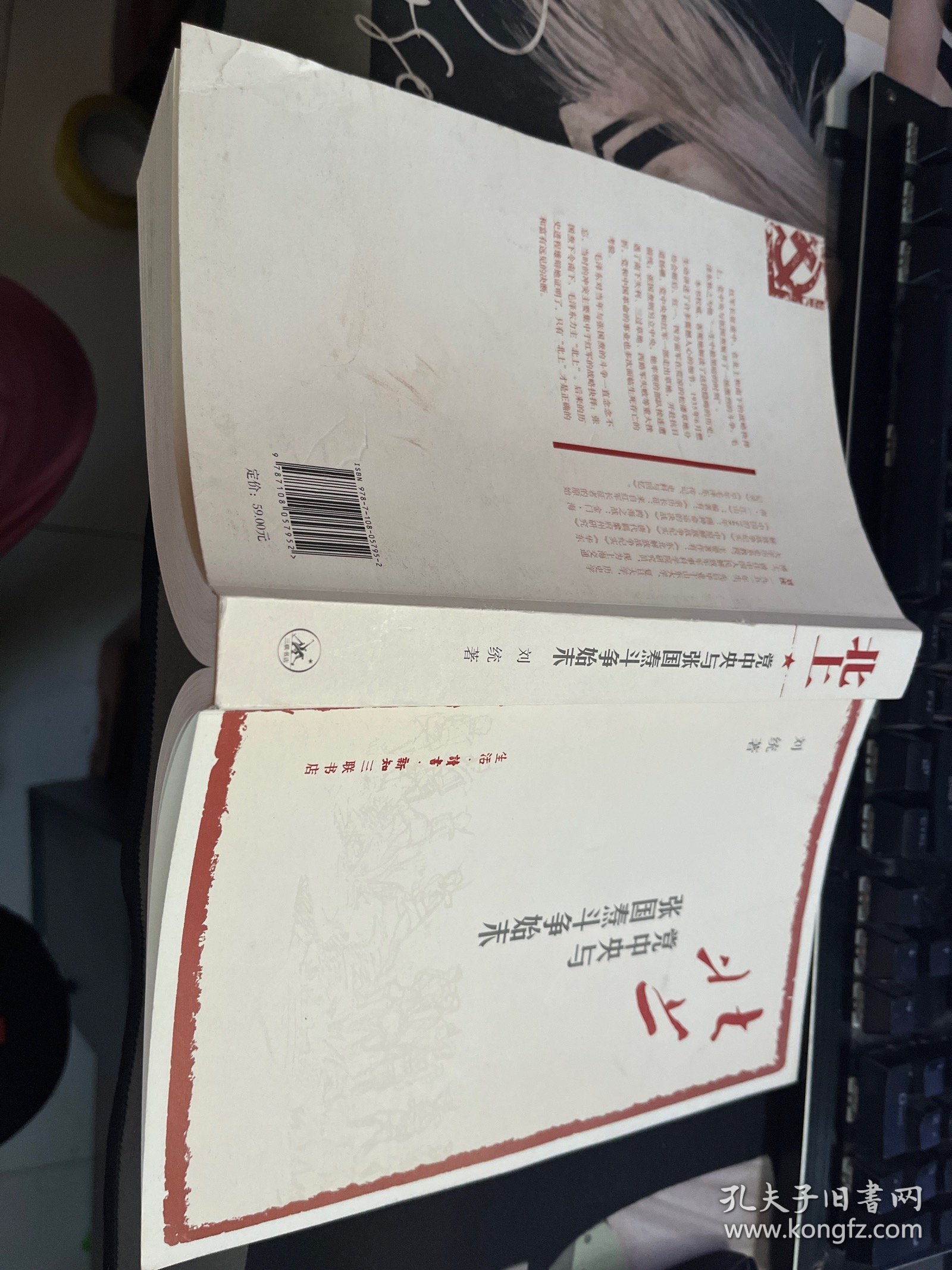 北上：党中央与张国焘斗争始末