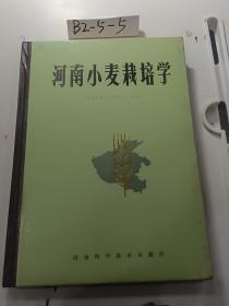 河南小麦栽培学