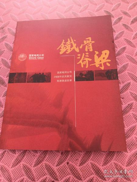 铁骨脊梁:国家电网公司2008年抗灾救灾先进事迹实录