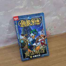 终极米迷口袋书：魔法传奇
